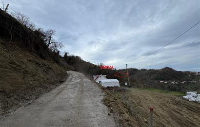 CENTURY21'DEN PERŞEMBE TARLACIK MAH.DENİZ MANZARALI PARSELLER