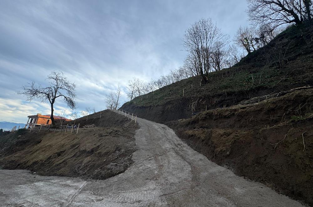 CENTURY21'DEN PERŞEMBE TARLACIK MAH.DENİZ MANZARALI PARSELLER