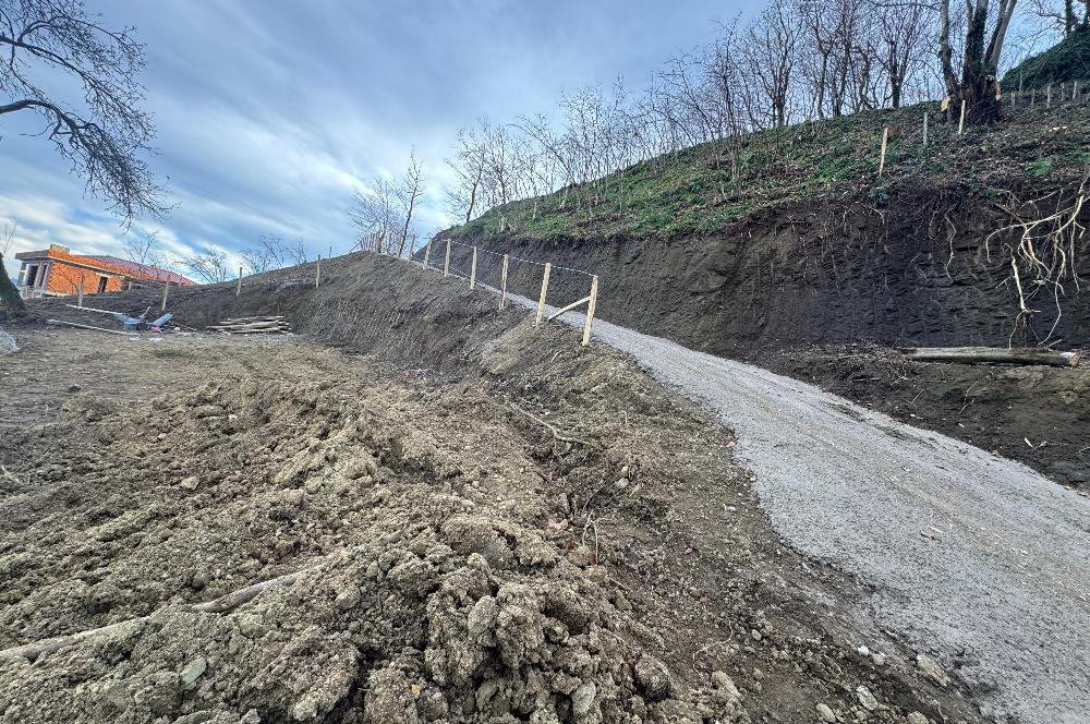 CENTURY21'DEN PERŞEMBE TARLACIK MAH.DENİZ MANZARALI PARSELLER