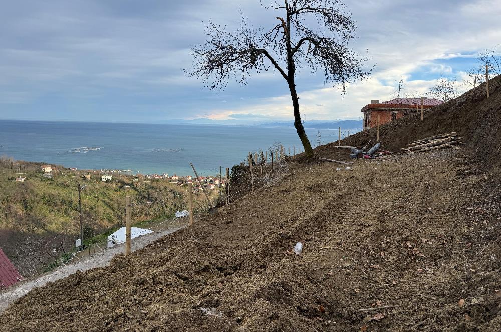 CENTURY21'DEN PERŞEMBE TARLACIK MAH.DENİZ MANZARALI PARSELLER