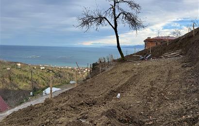CENTURY21'DEN PERŞEMBE TARLACIK MAH.DENİZ MANZARALI PARSELLER