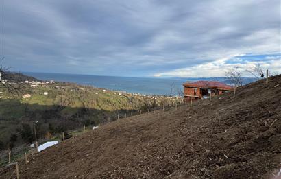 CENTURY21'DEN PERŞEMBE TARLACIK MAH.DENİZ MANZARALI PARSELLER