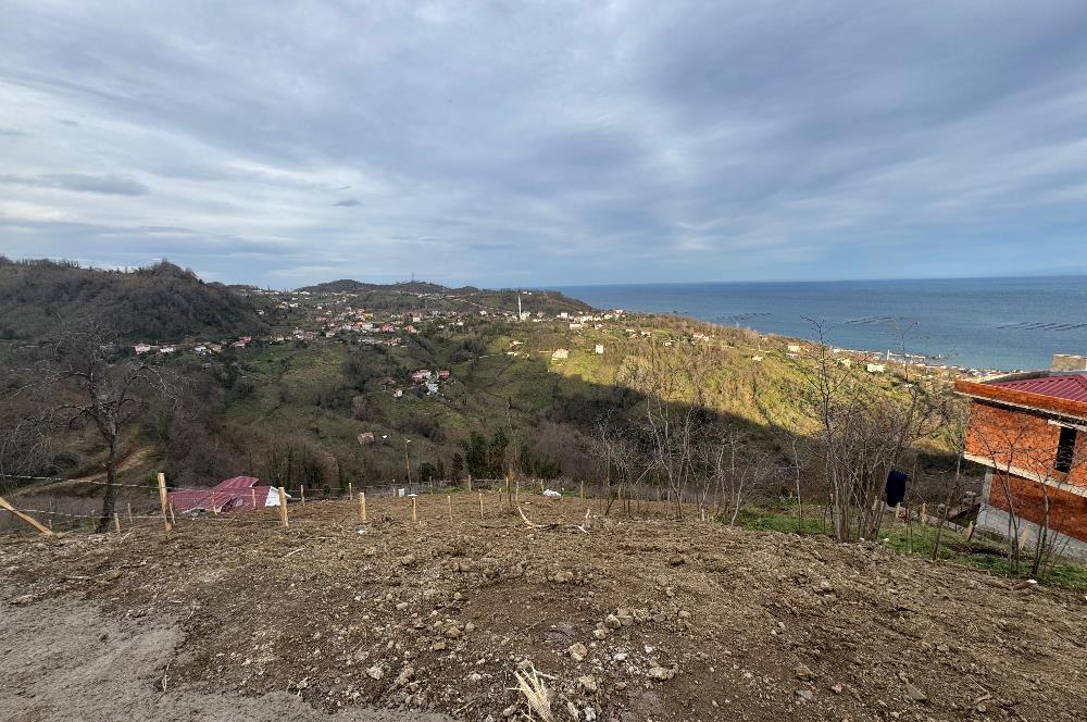 CENTURY21'DEN PERŞEMBE TARLACIK MAH.DENİZ MANZARALI PARSELLER
