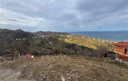 CENTURY21'DEN PERŞEMBE TARLACIK MAH.DENİZ MANZARALI PARSELLER