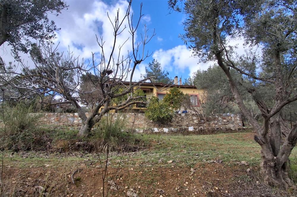 Menderes Ataköy'de Doğanın Kalbinde 4+1 Müstakil Yaşam