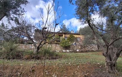 Menderes Ataköy'de Doğanın Kalbinde 4+1 Müstakil Yaşam