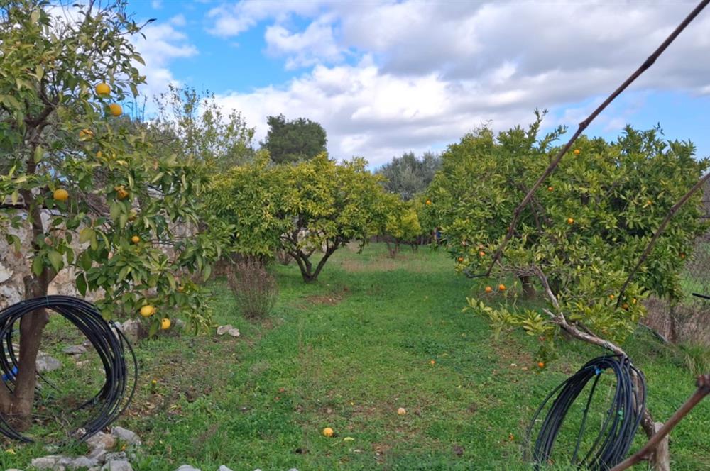 Menderes Ataköy'de Doğanın Kalbinde 4+1 Müstakil Yaşam