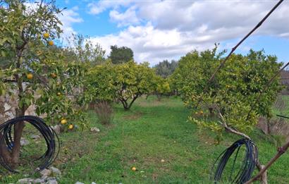 Menderes Ataköy'de Doğanın Kalbinde 4+1 Müstakil Yaşam