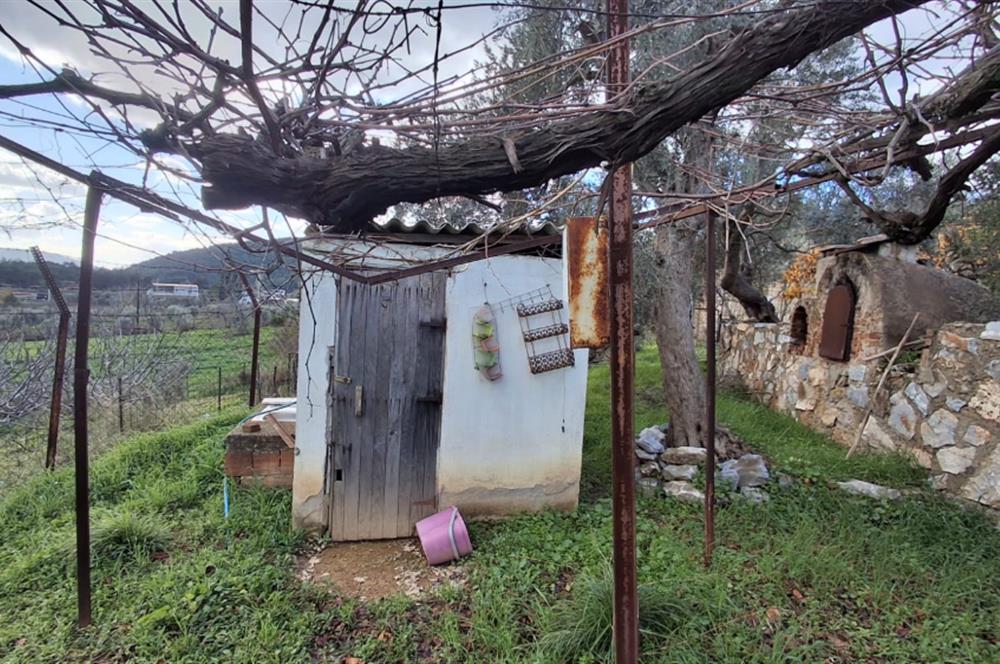 Menderes Ataköy'de Doğanın Kalbinde 4+1 Müstakil Yaşam