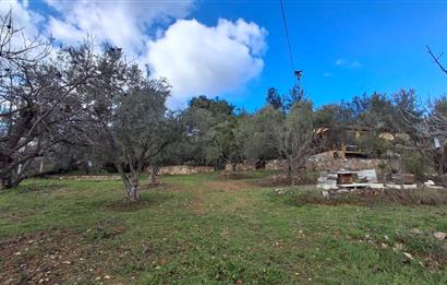 Menderes Ataköy'de Doğanın Kalbinde 4+1 Müstakil Yaşam