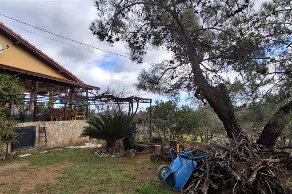 Menderes Ataköy'de Doğanın Kalbinde 4+1 Müstakil Yaşam