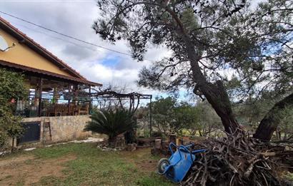 Menderes Ataköy'de Doğanın Kalbinde 4+1 Müstakil Yaşam