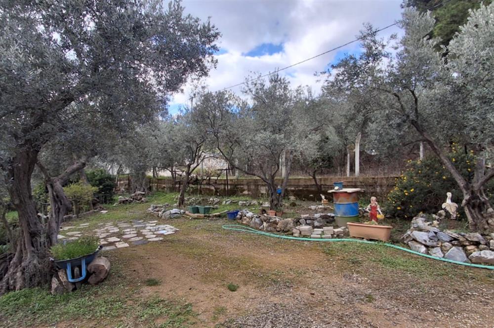 Menderes Ataköy'de Doğanın Kalbinde 4+1 Müstakil Yaşam