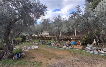 Menderes Ataköy'de Doğanın Kalbinde 4+1 Müstakil Yaşam