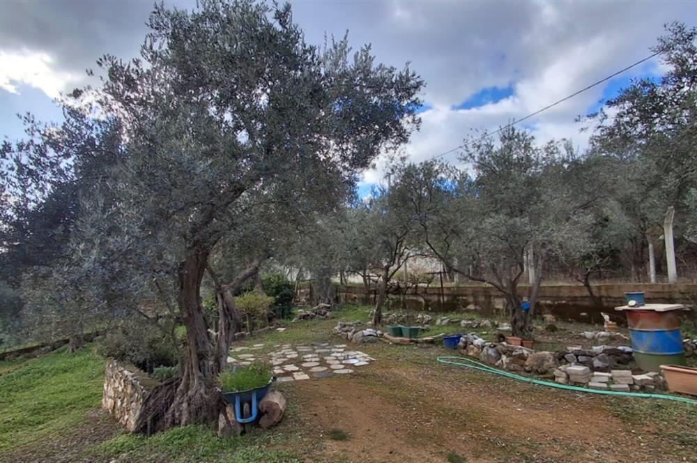 Menderes Ataköy'de Doğanın Kalbinde 4+1 Müstakil Yaşam