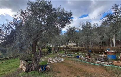 Menderes Ataköy'de Doğanın Kalbinde 4+1 Müstakil Yaşam