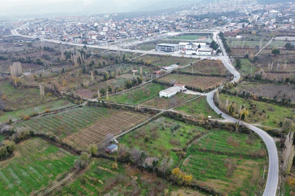 CENTURY 21 NET'TEN HONAZ'DA SATILIK 4917 M2 KİRAZ BAHÇESİ