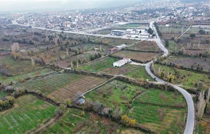 CENTURY 21 NET'TEN HONAZ'DA SATILIK 4917 M2 KİRAZ BAHÇESİ