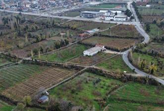 CENTURY 21 NET'TEN HONAZ'DA SATILIK 4917 M2 KİRAZ BAHÇESİ - 2 - 31234