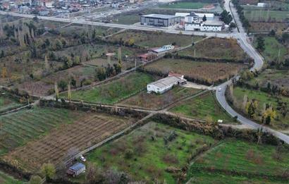 CENTURY 21 NET'TEN HONAZ'DA SATILIK 4917 M2 KİRAZ BAHÇESİ