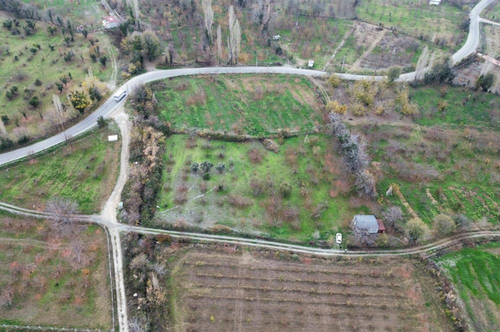 CENTURY 21 NET'TEN HONAZ'DA SATILIK 4917 M2 KİRAZ BAHÇESİ