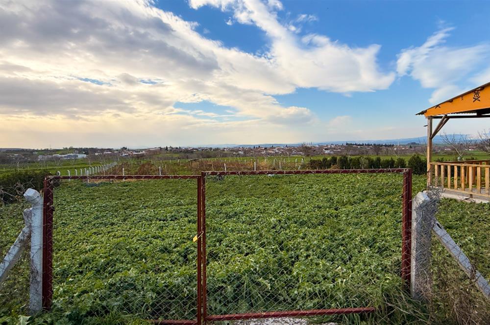 C21 Bal'dan Aslıhantepeciği Mah. Satılık Tarla