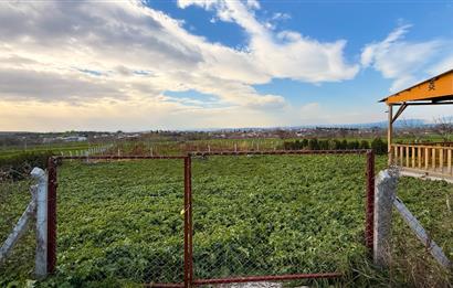 C21 Bal'dan Aslıhantepeciği Mah. Satılık Tarla