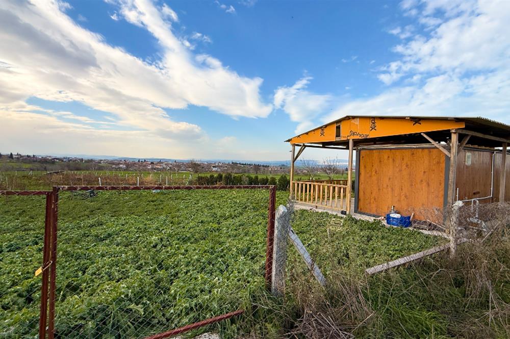 C21 Bal'dan Aslıhantepeciği Mah. Satılık Tarla