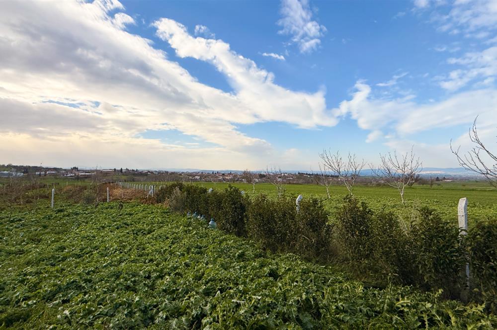 C21 Bal'dan Aslıhantepeciği Mah. Satılık Tarla
