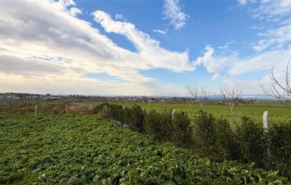 C21 Bal'dan Aslıhantepeciği Mah. Satılık Tarla