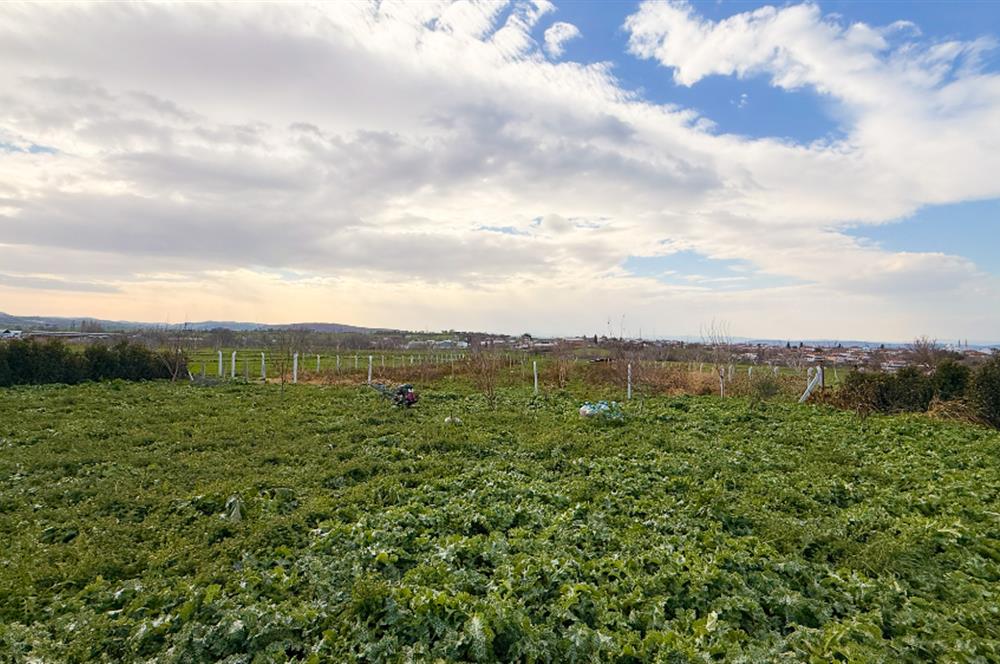 C21 Bal'dan Aslıhantepeciği Mah. Satılık Tarla