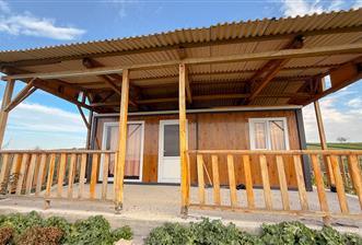 C21 Bal'dan Aslıhantepeciği Mah. Satılık Tarla - 1 - 31290