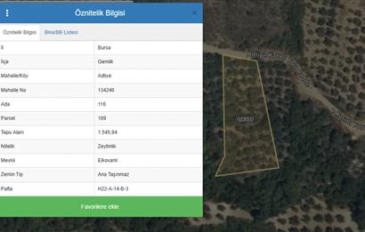 GEMLIK'DE SATILIK ZEYTINLIK YATIRIMLIK