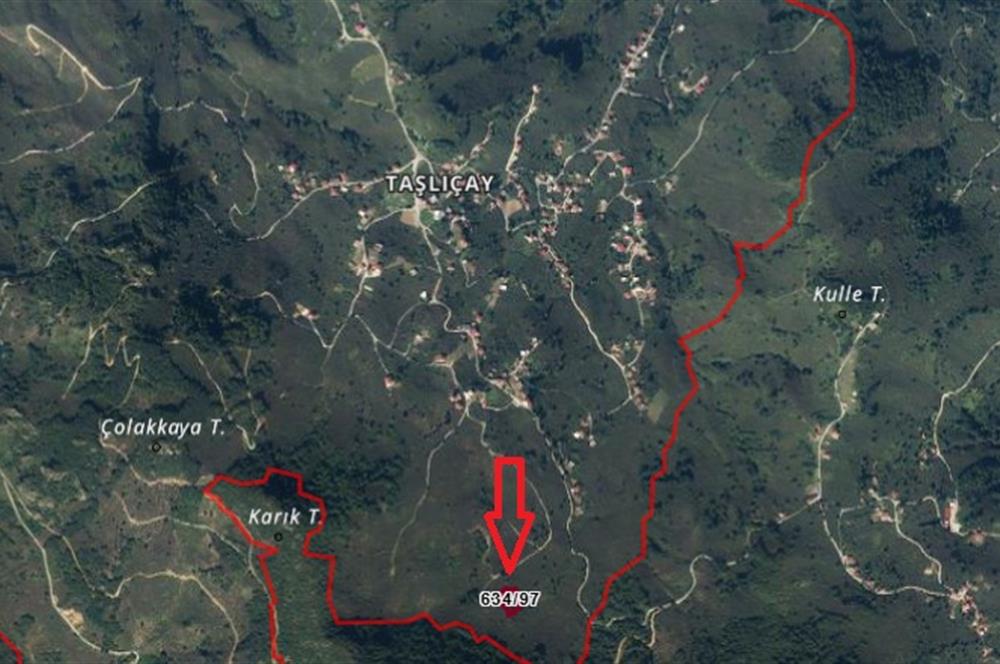 CENTURY21'DEN GÜLYALI TAŞLIÇAY'DA FINDIK BAHÇESİ