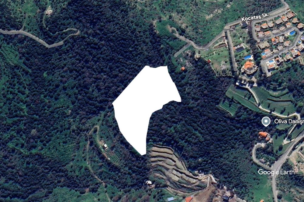 Gürece 500 m2 Kooperatif Hissesi