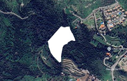 Gürece 500 m2 Kooperatif Hissesi