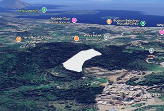 Gürece 500 m2 Kooperatif Hissesi - 1 - 31271