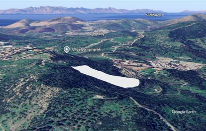 Gürece 500 m2 Kooperatif Hissesi