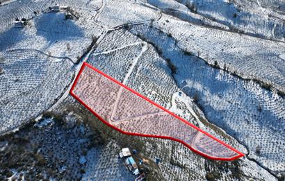 CENTURY 21'DEN DENİZ,ŞEHİR VE DOĞA MANZARALI YATIRIMLIK ARSA