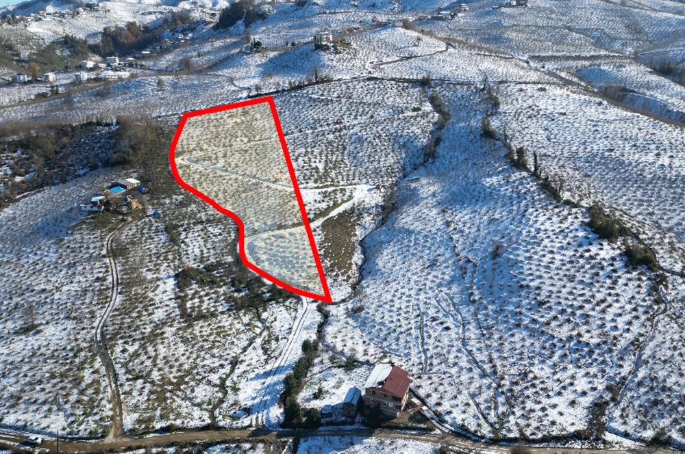 CENTURY 21'DEN DENİZ,ŞEHİR VE DOĞA MANZARALI YATIRIMLIK ARSA