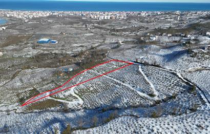 CENTURY 21'DEN DENİZ,ŞEHİR VE DOĞA MANZARALI YATIRIMLIK ARSA