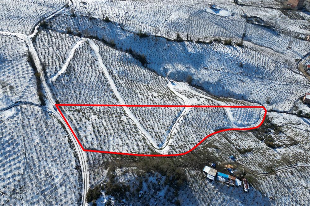 CENTURY 21'DEN DENİZ,ŞEHİR VE DOĞA MANZARALI YATIRIMLIK ARSA