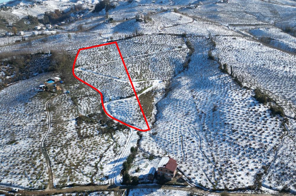 CENTURY 21'DEN DENİZ,ŞEHİR VE DOĞA MANZARALI YATIRIMLIK ARSA