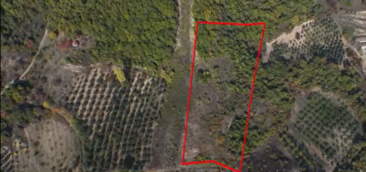 C21 Cius; Gemlik Katırlı'da Uludağ ve Deniz Manzaralı Tarla