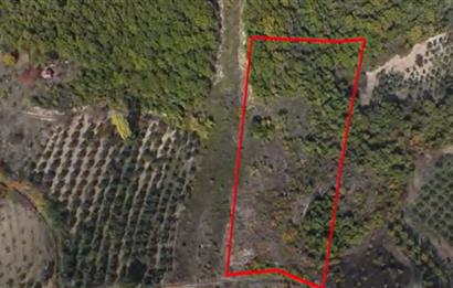 C21 Cius; Gemlik Katırlı'da Uludağ ve Deniz Manzaralı Tarla