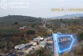 C21 Cius; Umurbey'de Yola Cephe Yatırımlık Satılık Tarla - 1 - 31419