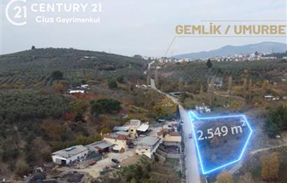 C21 Cius; Umurbey'de Yola Cephe Yatırımlık Satılık Tarla