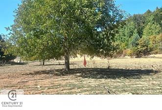 C21 Cius; İznik Kırıntı'da Doğa ile İç içe İmarlı Tek Parça Arsa - 4 - 31415