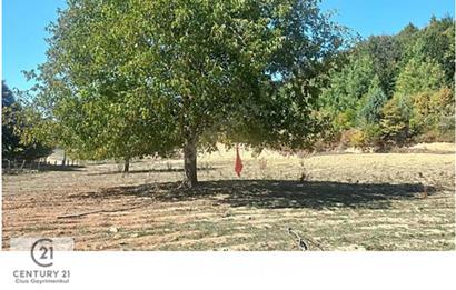 C21 Cius; İznik Kırıntı'da Doğa ile İç içe İmarlı Tek Parça Arsa