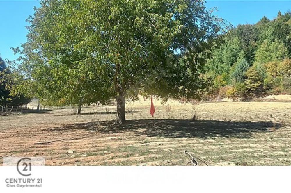 C21 Cius; İznik Kırıntı'da Doğa ile İç içe İmarlı Tek Parça Arsa